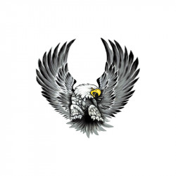 Aufklebersatz Eagles - 2x...