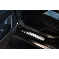 Inox door sill protectors...