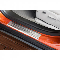 Inox door sill protectors...