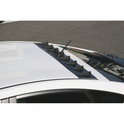 Chargespeed Roof Fin...