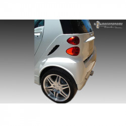 Wheel arch extensions (rear...