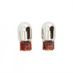 T-20 (WY21W) Ampoules...