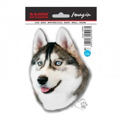 Auto Tattoo Sticker Husky -...