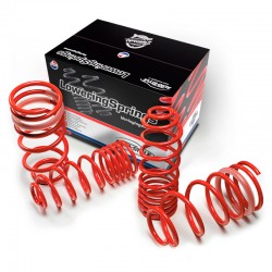 AutoStyle raising springs...