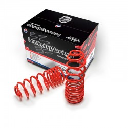 AutoStyle raising springs...